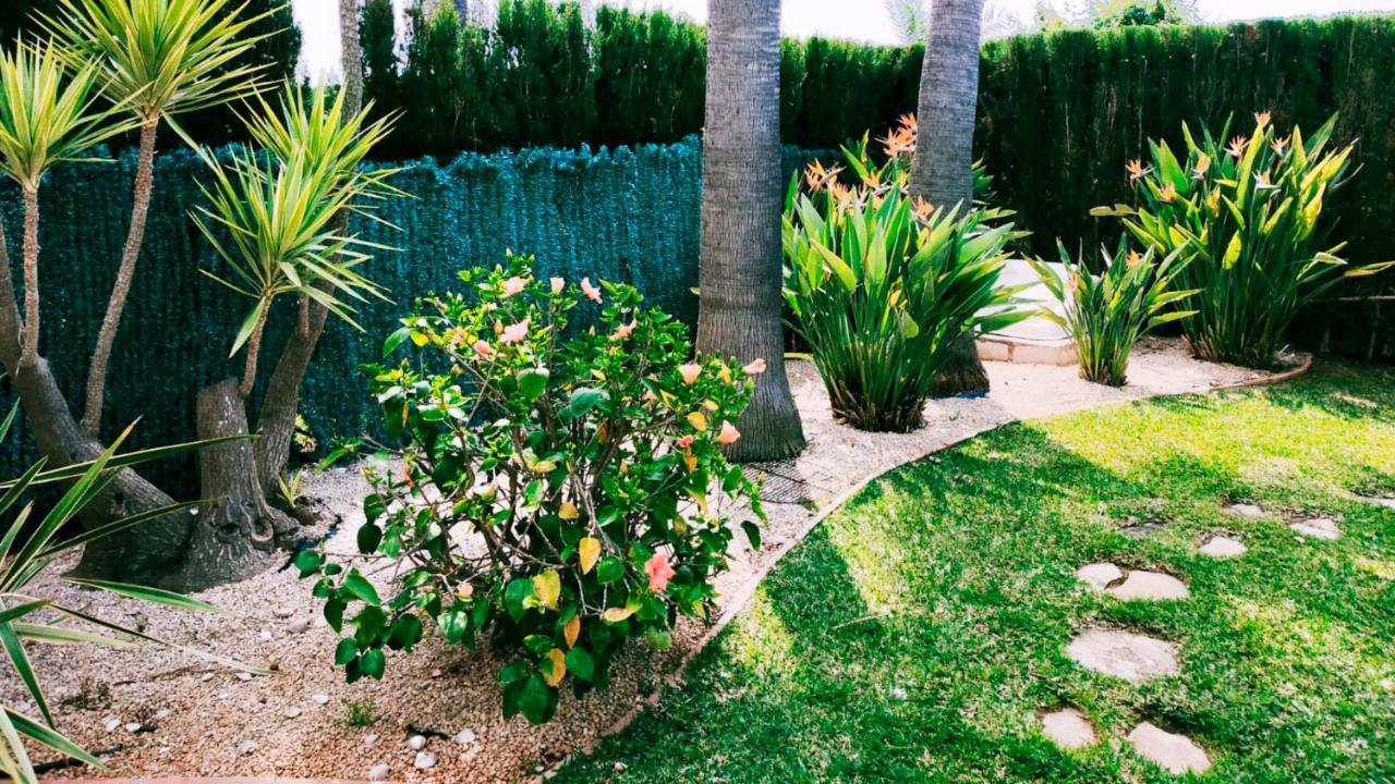Villa El Palmar Dénia Buitenkant foto